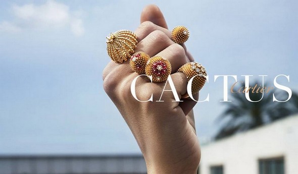 Limited Edition Jewels Cactus Collection by Cartier